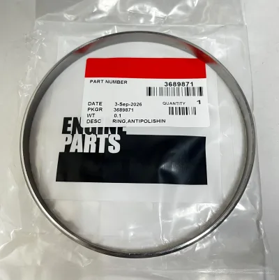 3689871 CUMMINS ANTIPOLISHING SEAL