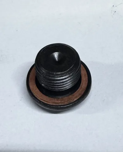 3900215 THREADED PLUG WITH WASHER