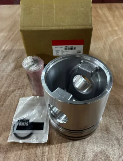 3801703 3804409 3048650 PISTON KIT FOR CUMMINS ENG