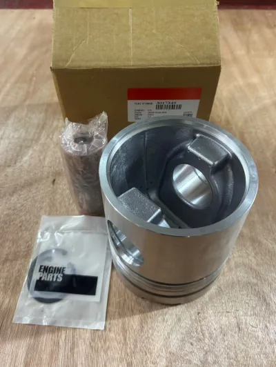 3017349  3024676  3095756  3804413 PISTON SET