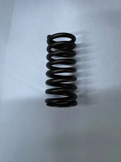 3081212 VALVE SPRING