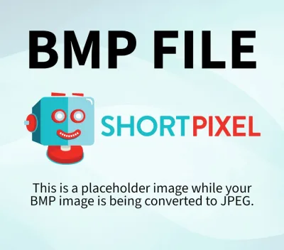 3966128.bmp