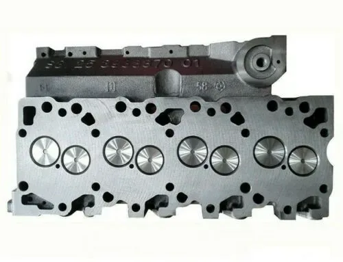 3966450.jpg