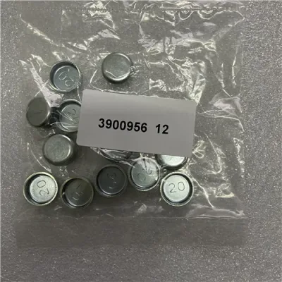 3900956.jpg