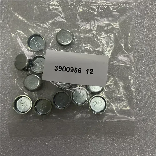 3900956.jpg
