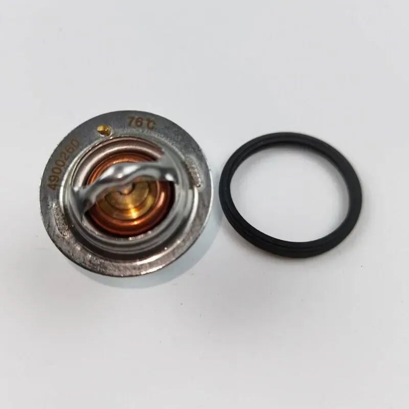 4900260.jpg