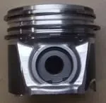 4897980.jpg