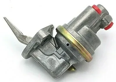 3970882.jpg