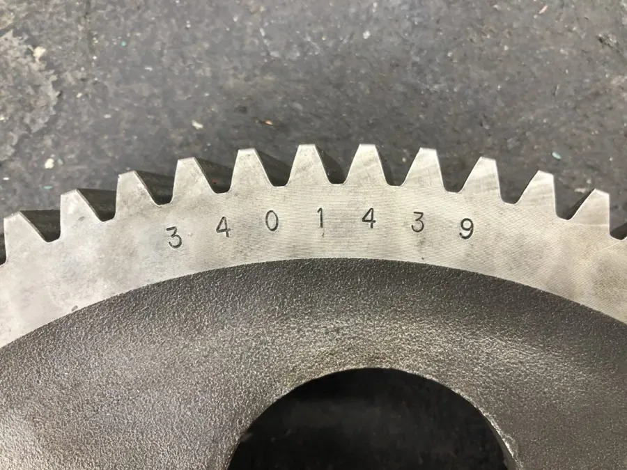3401439.jpg