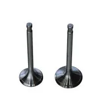 3802924-VALVE-INL.jpg