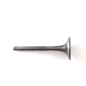 3802083.jpg