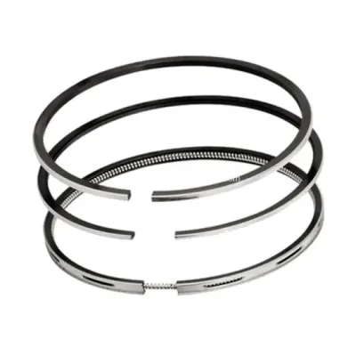 6745-31-2010-PISTON-RING.jpg