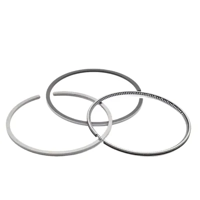 6738-31-2031-PISTON-RING-SET.jpg