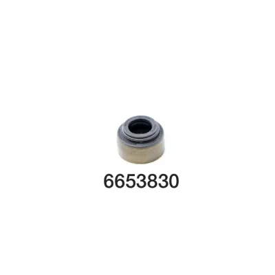 6653830-1.jpg