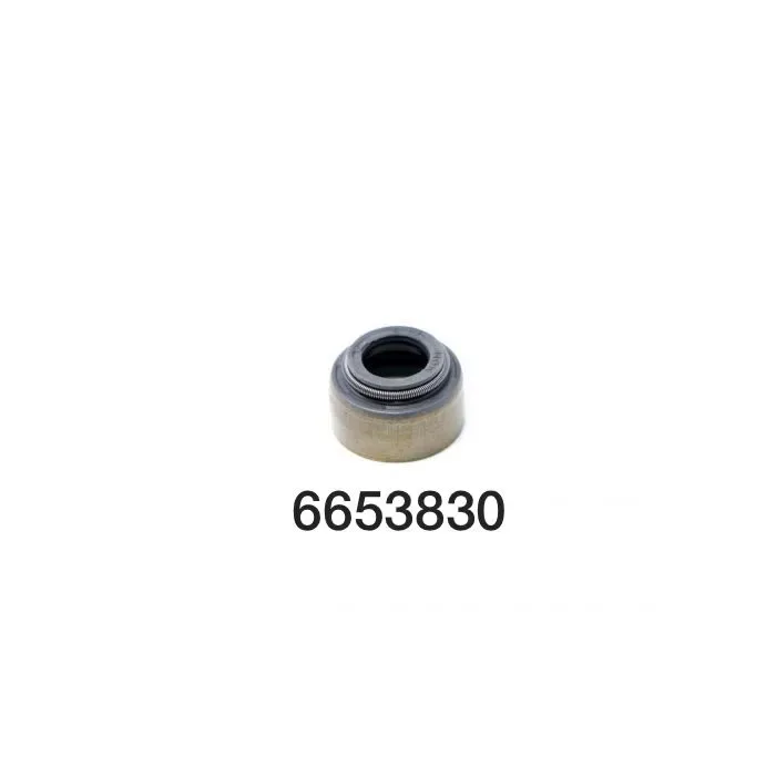 6653830-1.jpg
