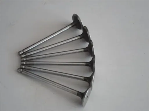 3940735.jpg