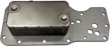 3975818.jpg