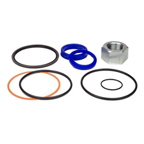 hydraulic cylinder seal kit
