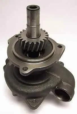 3803403.jpg