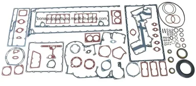3801007.jpg
