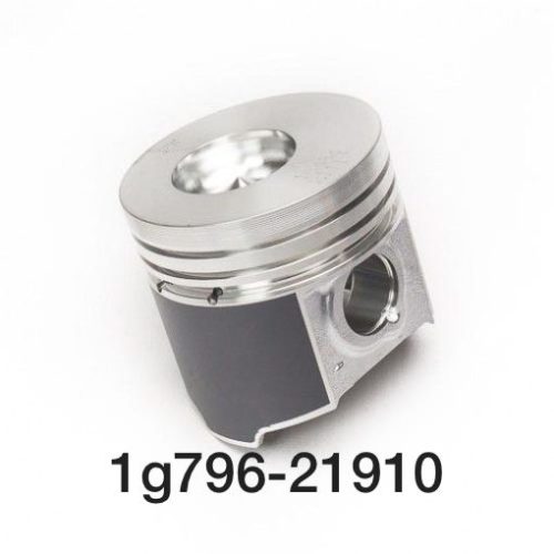 1G796 21910 jpg