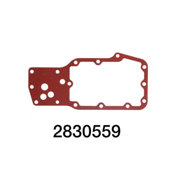 2830559 jpg