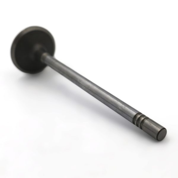 320 03697 VALVE INL jpg