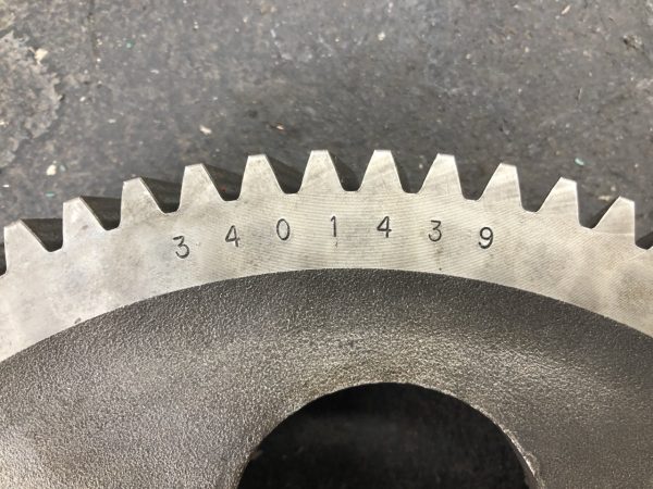 3401439 jpg
