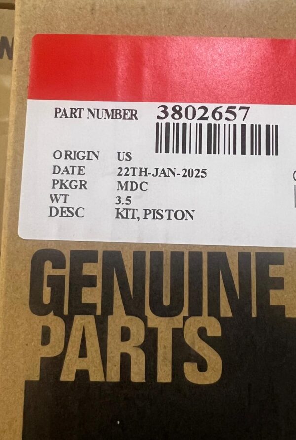 3802657 / 3929161 PISTON KIT