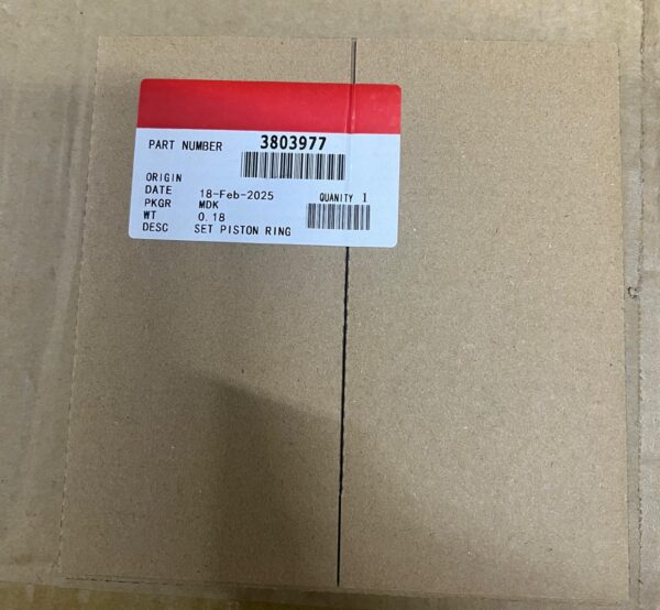 3803977 RING PISTON