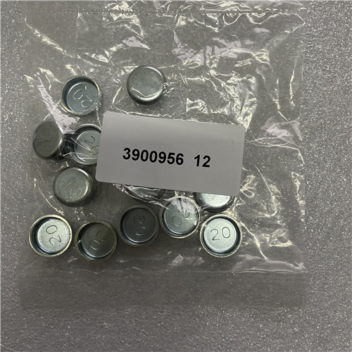 3900956 jpg