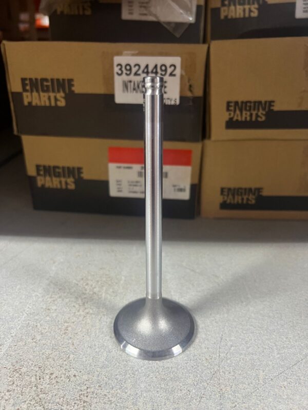 3924492 / 3802463 VALVE INLET