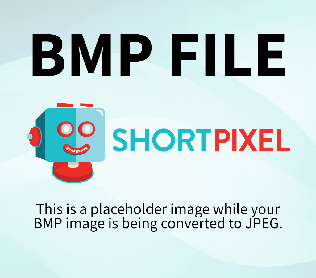 3966128 bmp