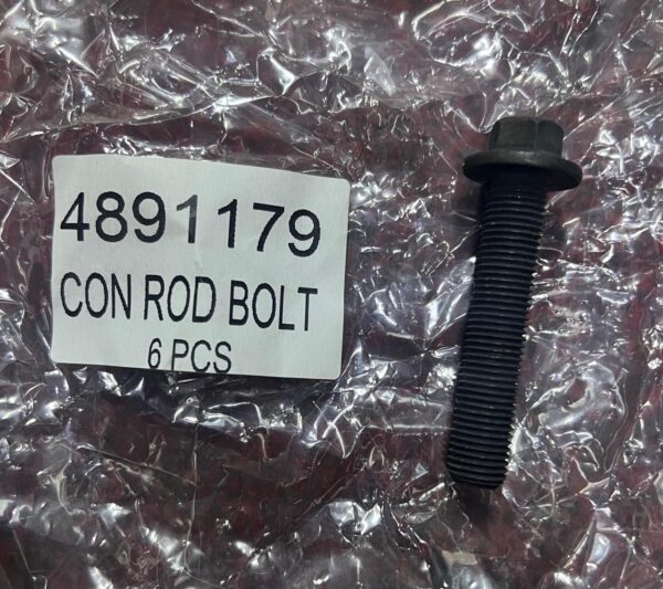 4891179 CAP SCREW