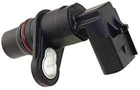 4921684 jpg