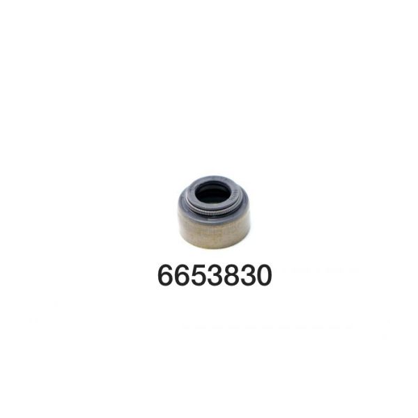6653830 1 jpg