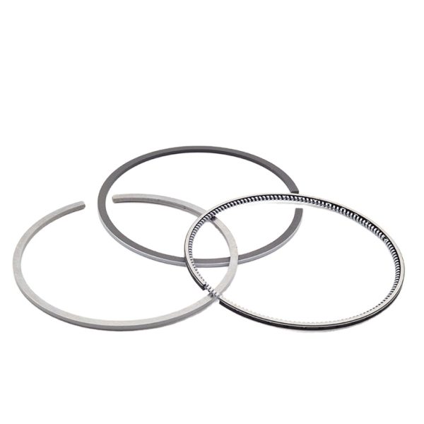 6738 31 2031 PISTON RING SET jpg