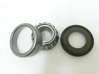 Bearing 13 webp