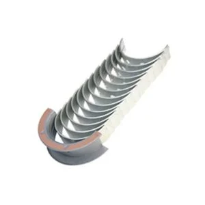 Main bearing 10 webp