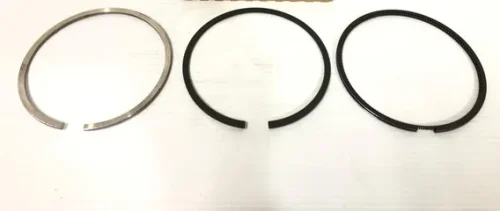 Ring piston webp