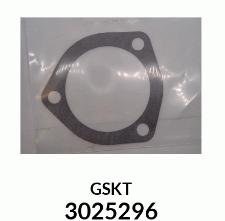 3025296   4318628 CAMSHAFT COVER GASKET