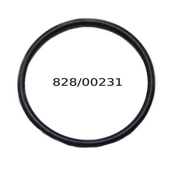 828/00231  O RING