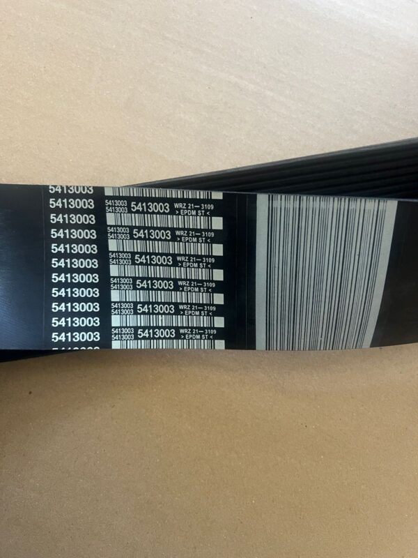 5413003 FAN BELT