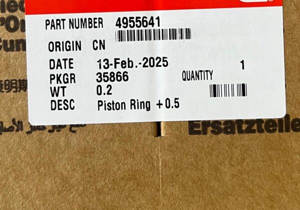 4955641 RING SET