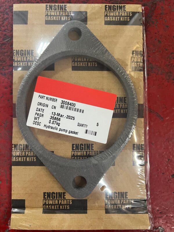 3008400 200094 HYD PUMP GASKET