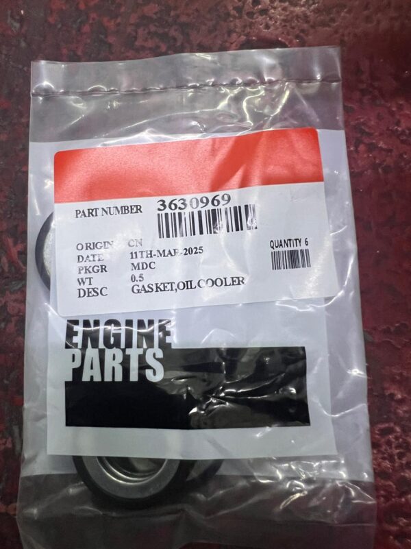 3630969 OIL COOLER GASKET