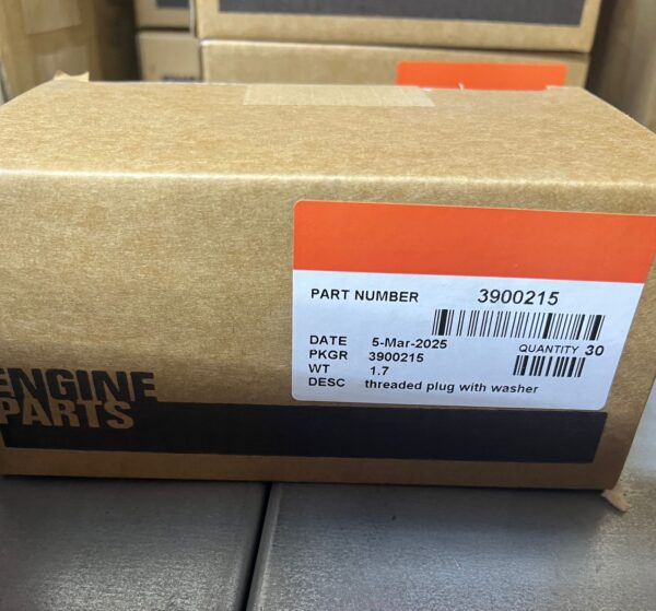3900215 THREADED PLUG WITH WASHER