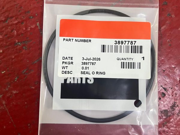 3897787, O RING SEAL