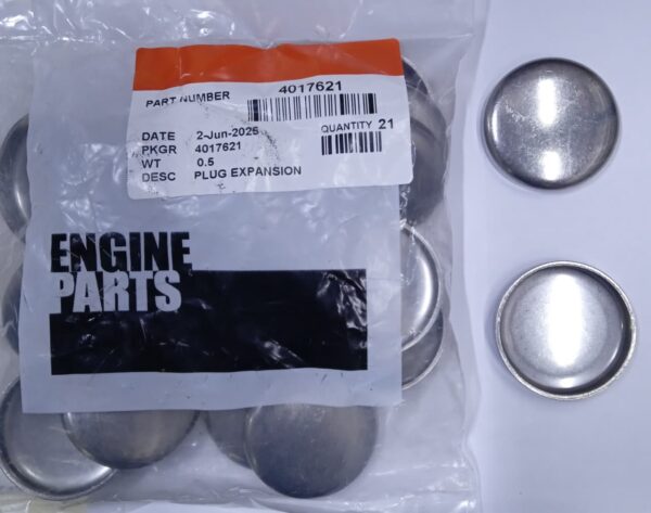 4017621, EXPANSION PLUG