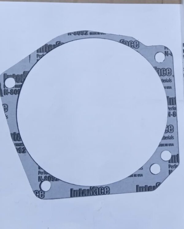 3007380,HYDRAULIC PUMP GASKET